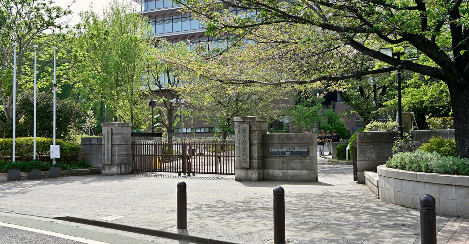 羽根木公園 参考画像