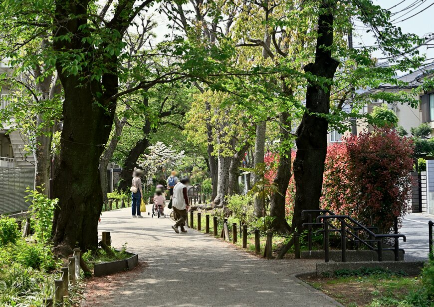 烏山川緑道 参考画像