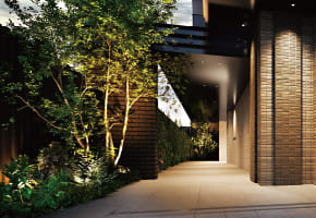 image photo