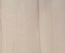 ＜Glossy Tineo＞