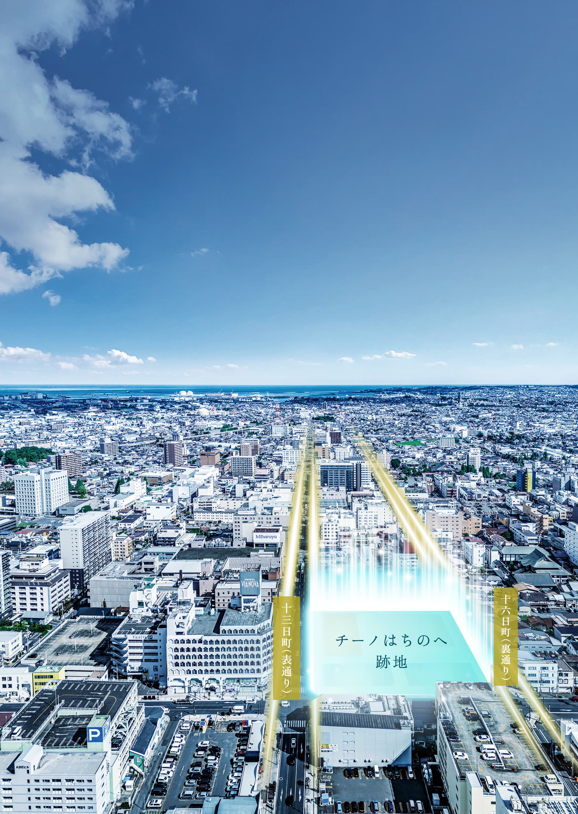 現地周辺航空写真