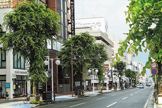 2024年8月撮影©2024はちのへ中心蔵実行委員会