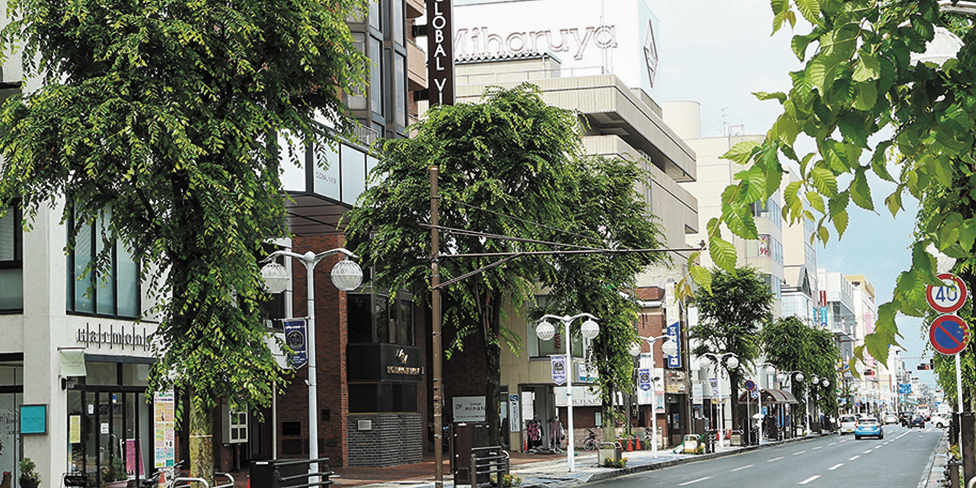 十三日町・十六日町・ハナミズキ通りエリア