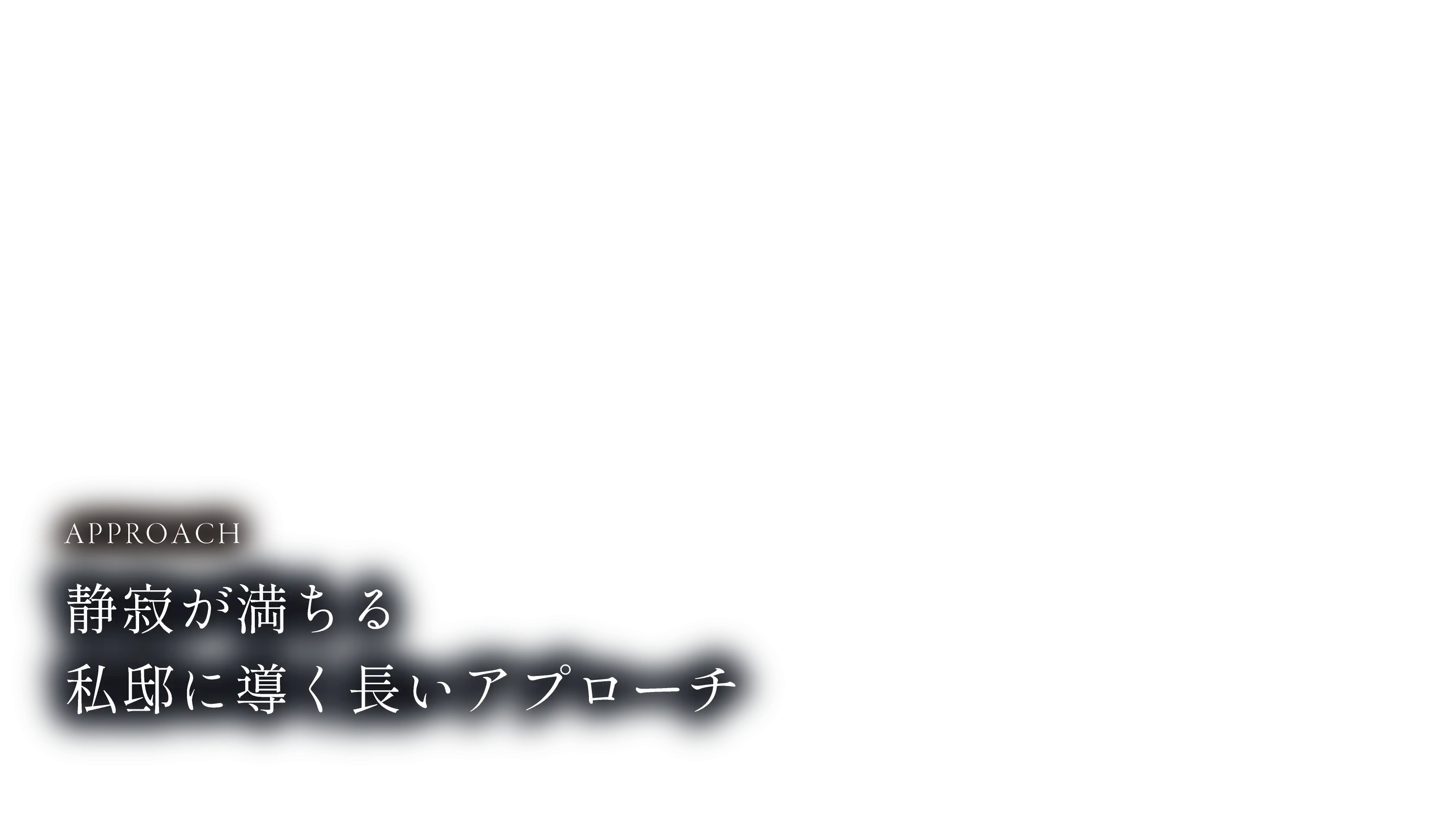MVコピー