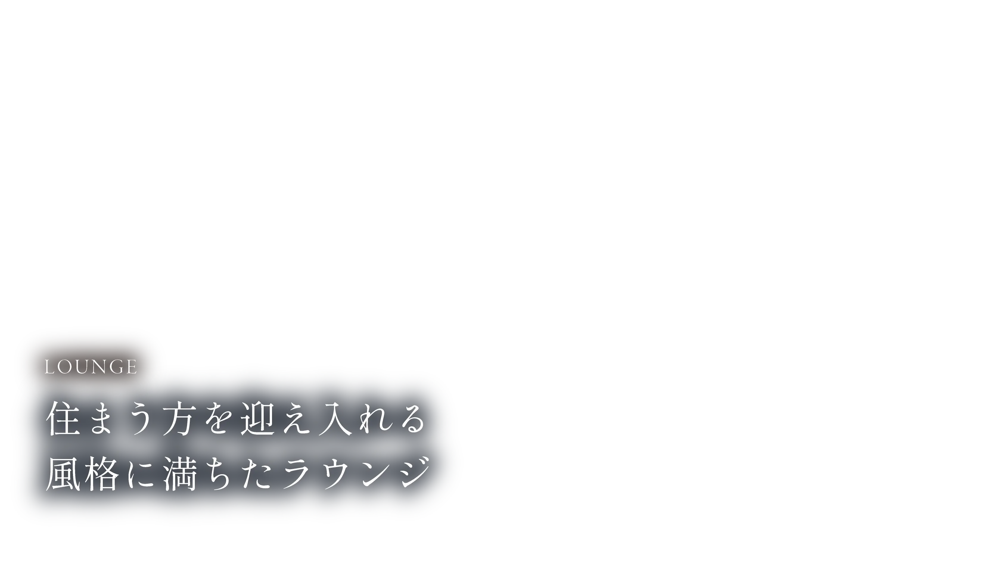 MVコピー