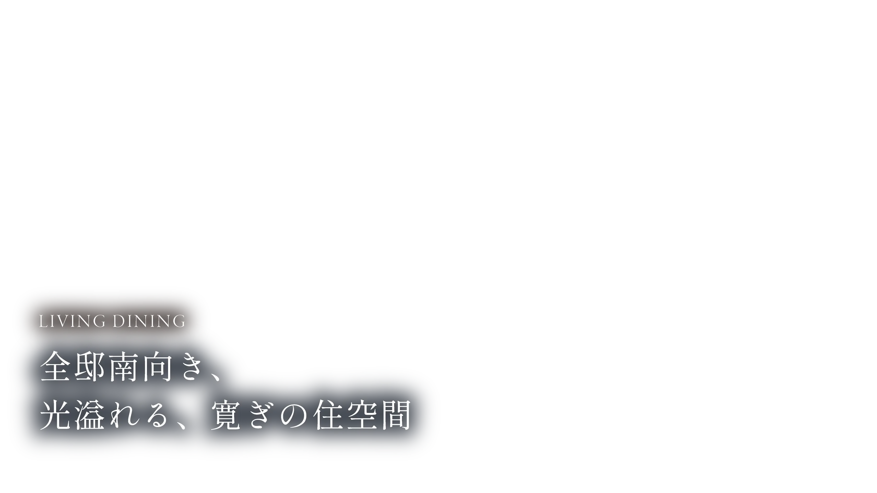 MVコピー