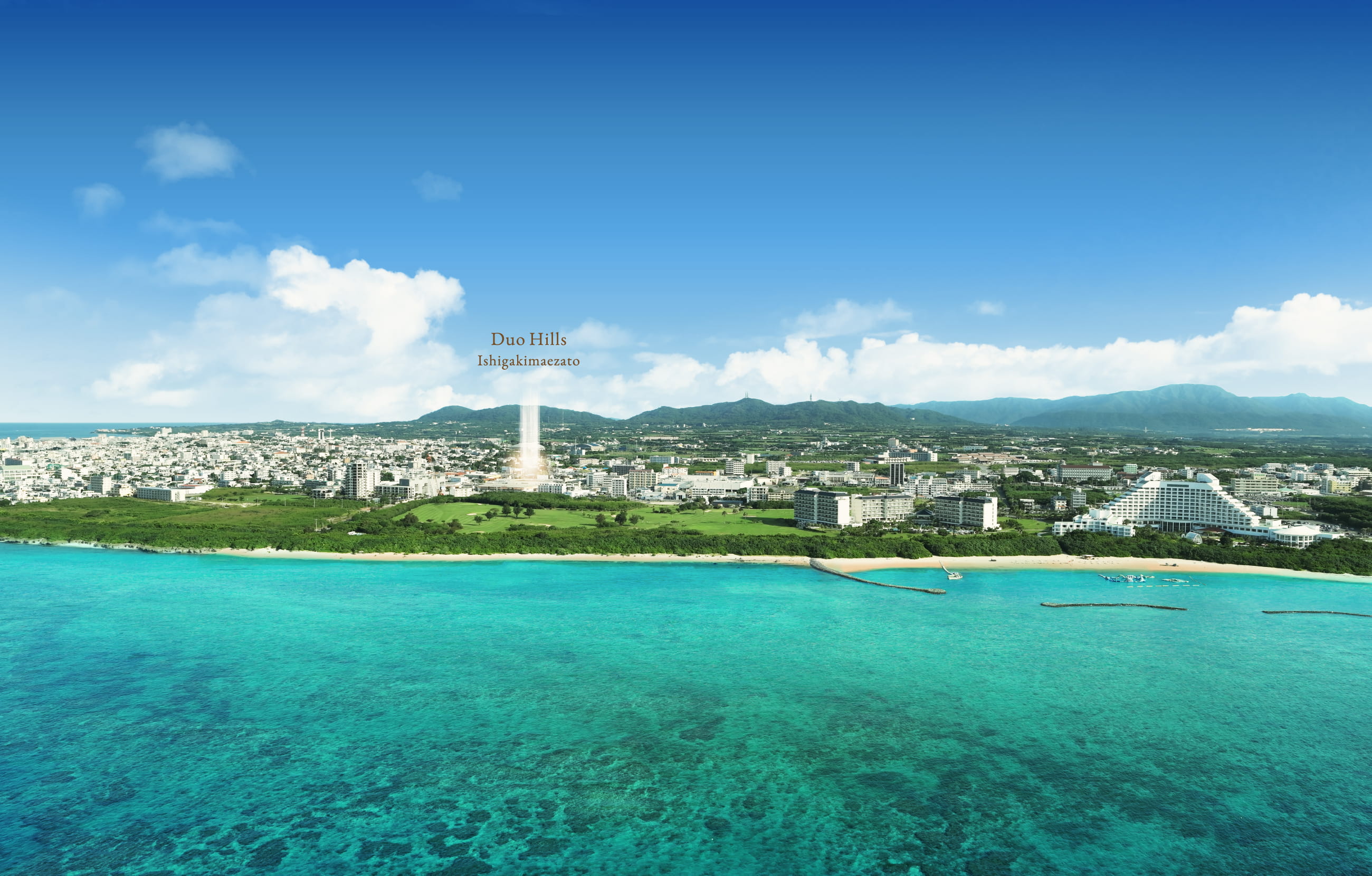 航空写真