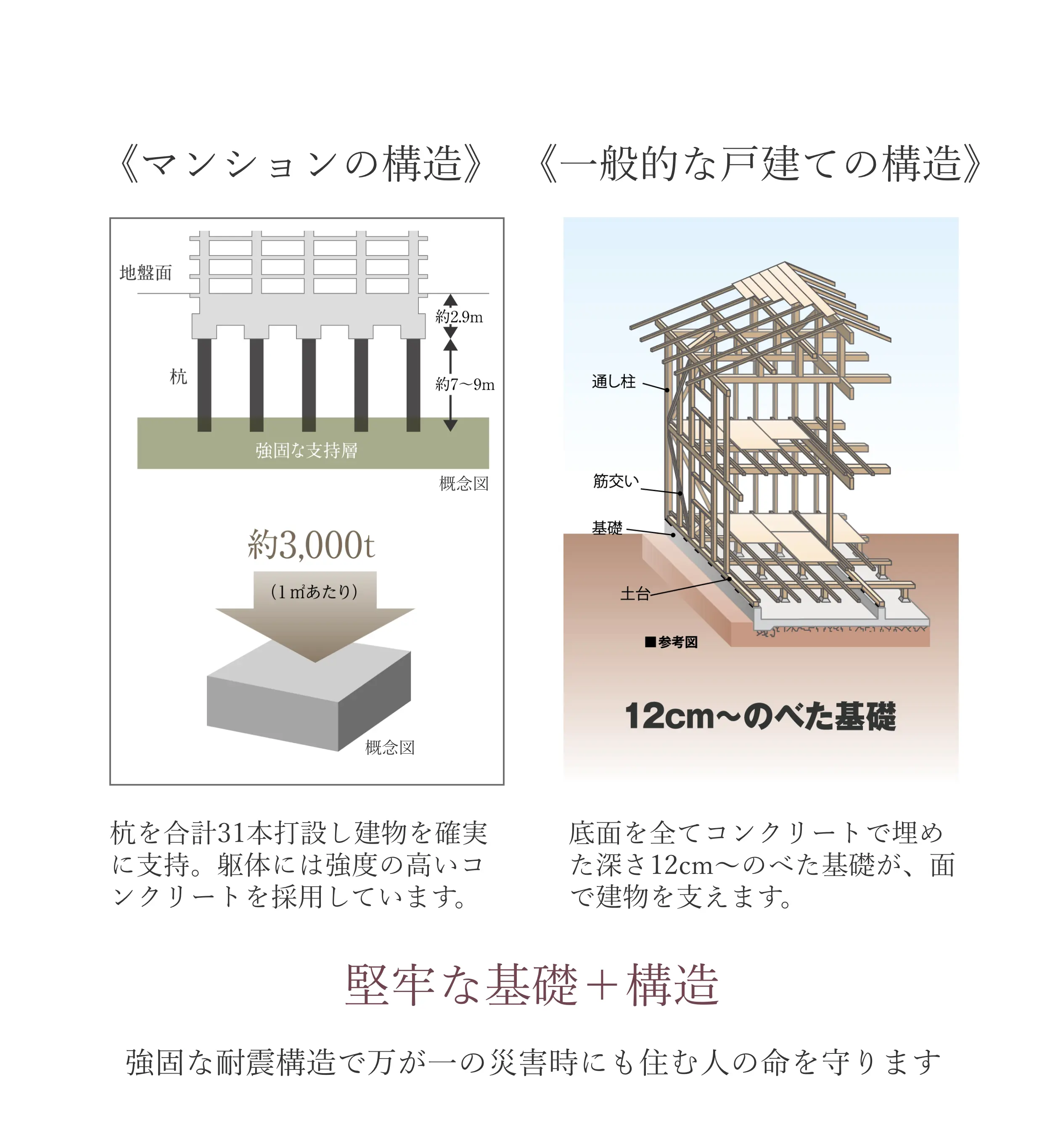 堅牢な基礎＋構造