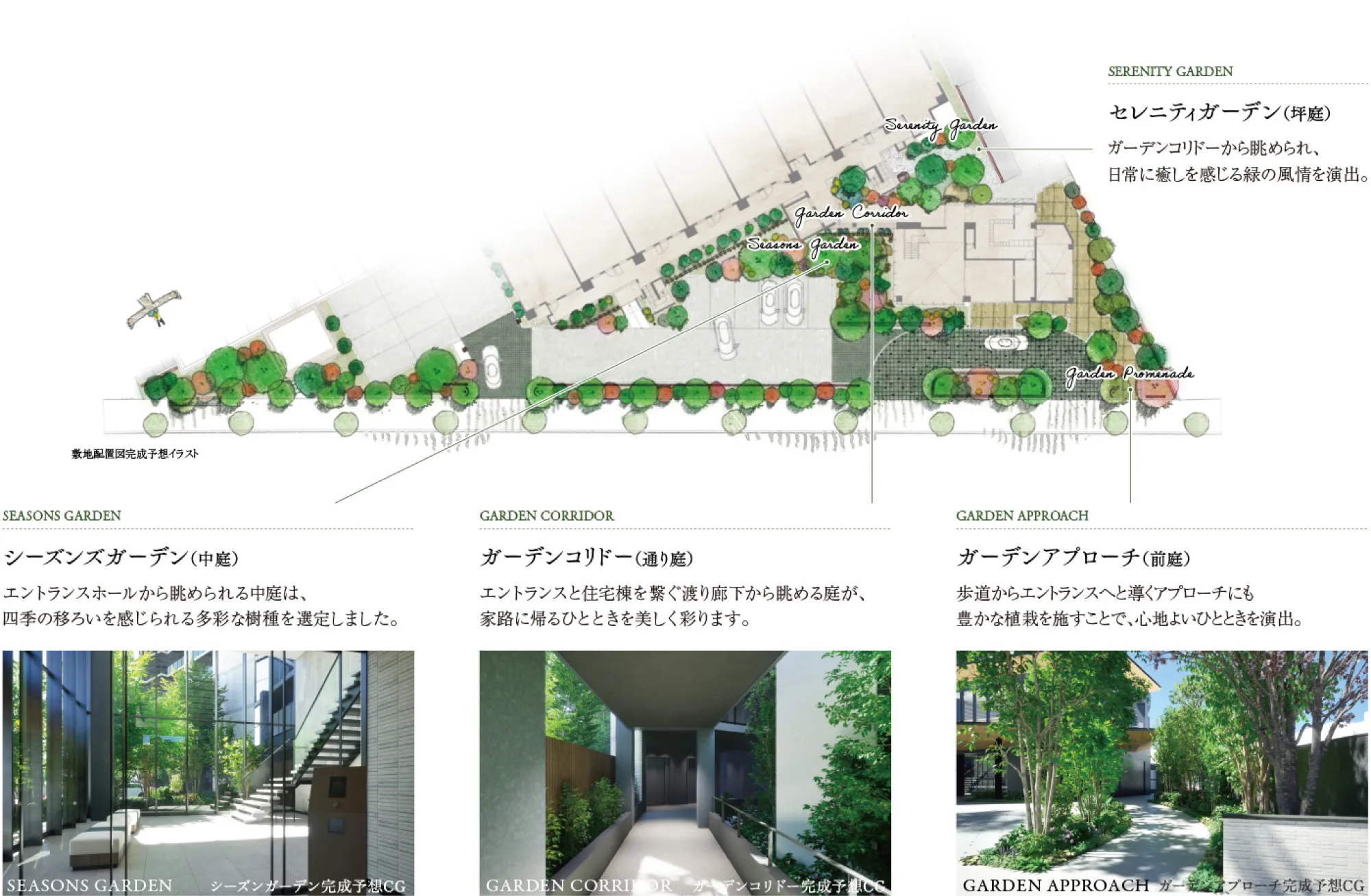 庭園デザインの概要図。中央には敷地のレイアウト図が配置され、通路や庭園の位置関係、植栽の配置が描かれています。「セレニティガーデン（坪庭）」の説明「ガーデンコリドーから眺められ、日常に癒しを感じる緑の風情を演出。」「シーズンズガーデン（中庭）」の説明「エントランスホールから眺められる中庭は、四季の空いを感じられる多彩な樹種を剪定しました。」「ガーデンコリドー（通り庭）」の説明「エントランスと住宅棟をつなぐ渡り廊下から眺める庭が、家路に帰る一時を美しく彩ります。」「ガーデンアプローチ（前庭）の説明「歩道からエントランスへと導くアプローチにも豊かな植栽を施すことで、心地よいひと時を演出。」