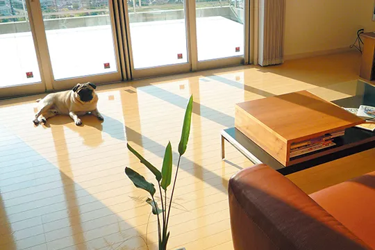 フロアコーティング