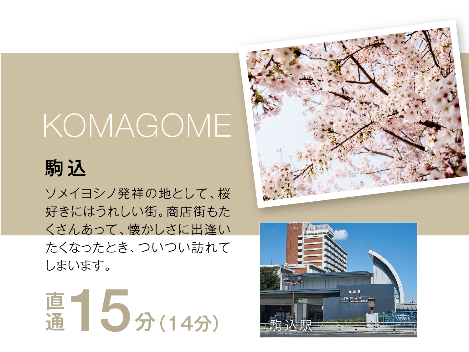 KOMAGOME