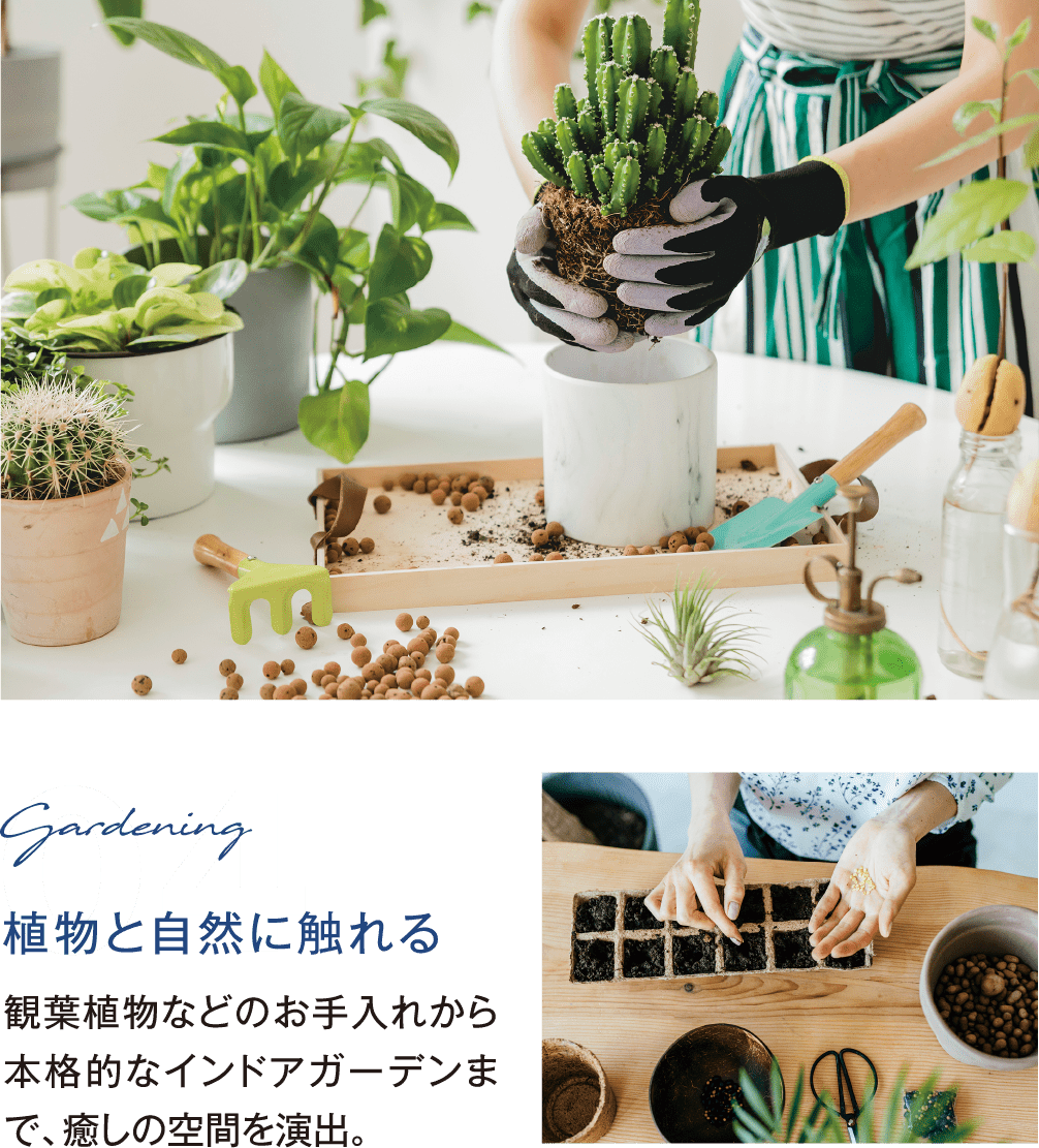 植物と自然に触れる