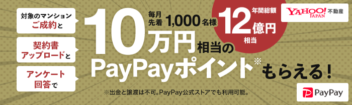 paypay キャンペーン