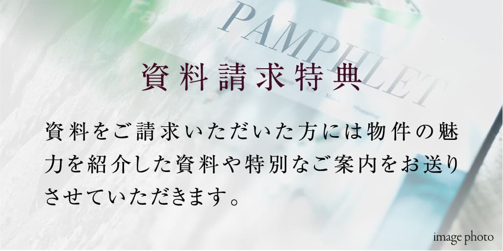 資料請求特典