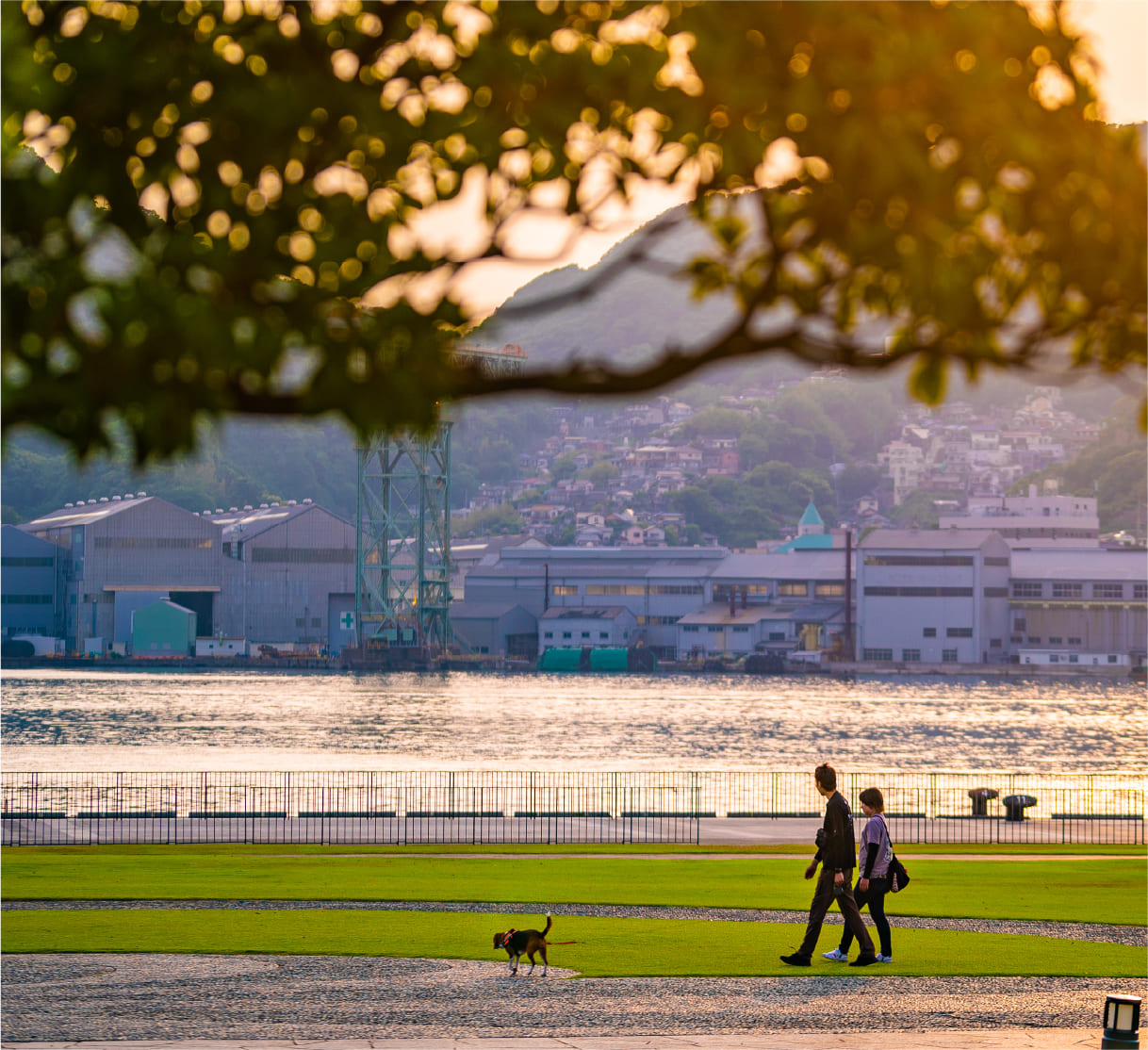 水の庭園image