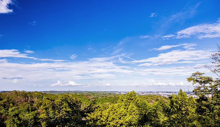 永山公園（徒歩6分/約430m）