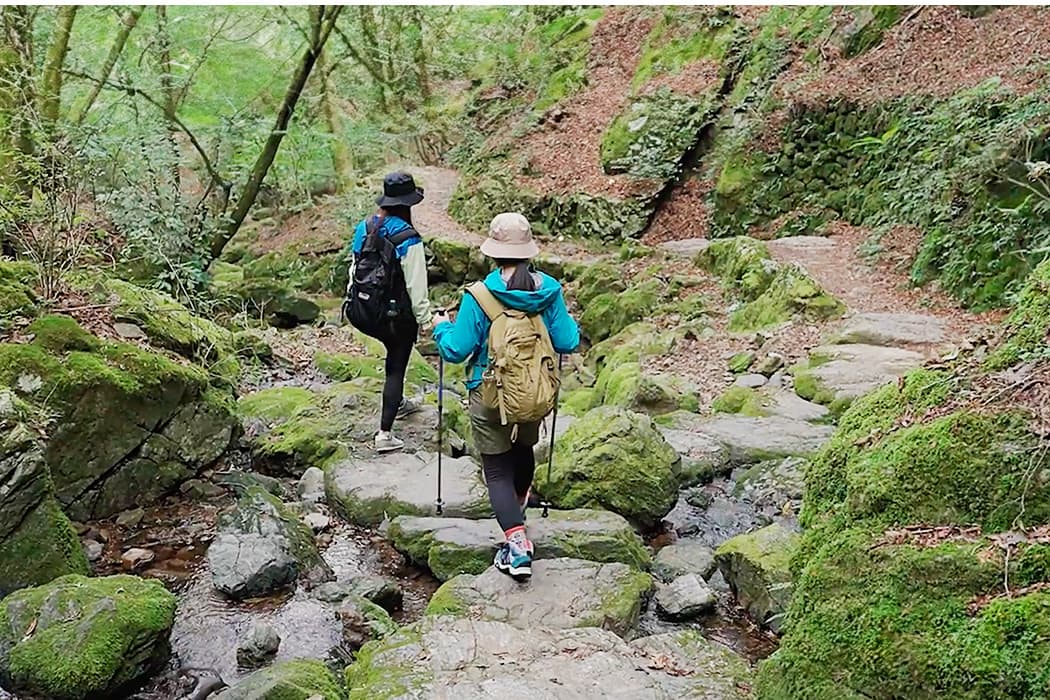自然人村（現地より車で16分/約10.2km）