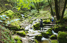 御岳山・ロックガーデン（トレッキング）