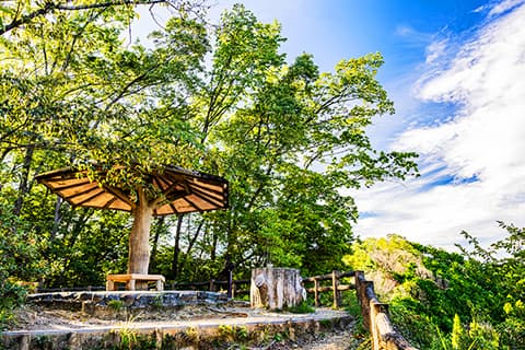 永山公園（徒歩6分/約430m）