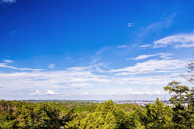 永山公園（徒歩6分/約430m）