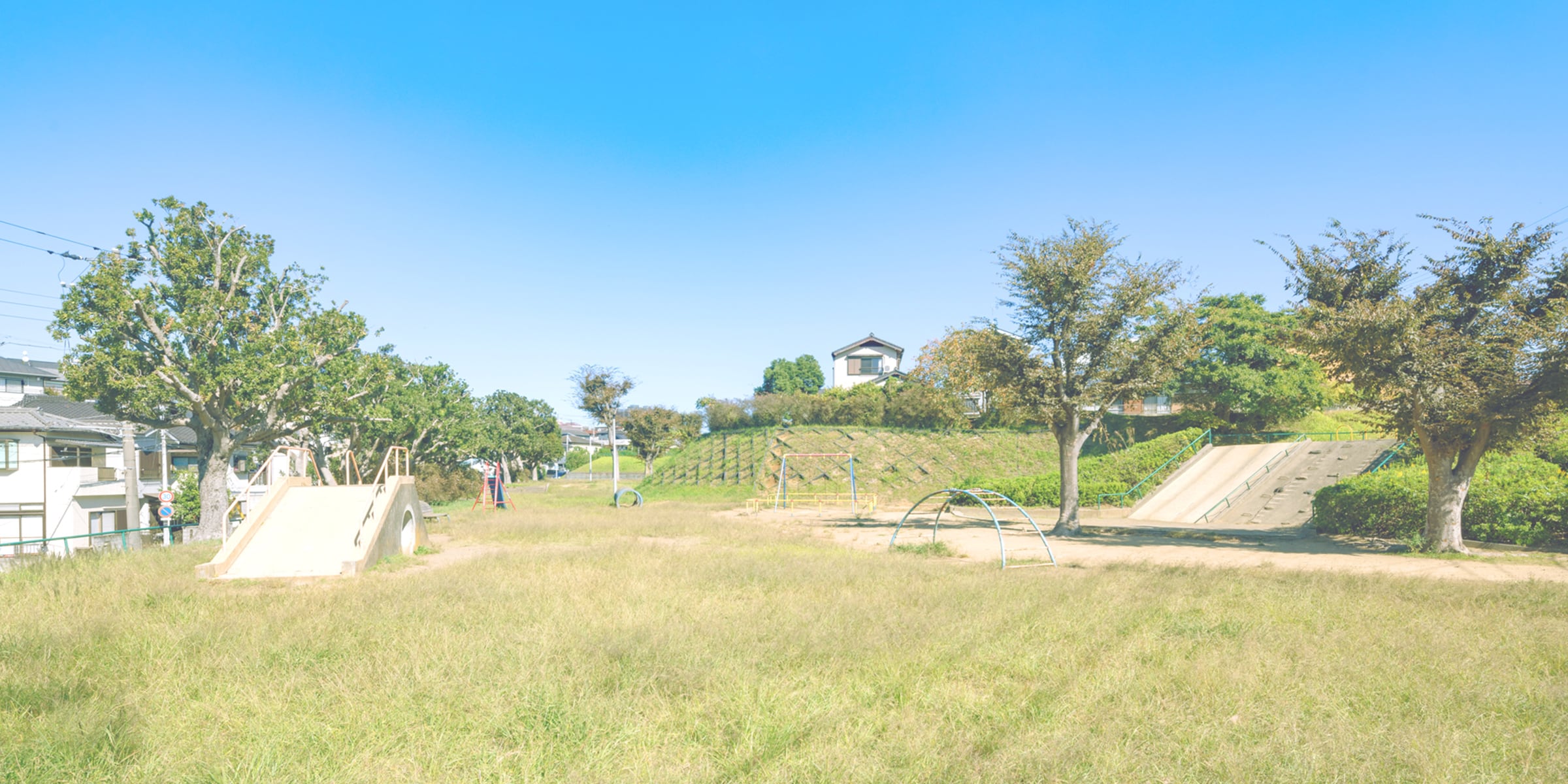 宮崎公園(2023年11月撮影)