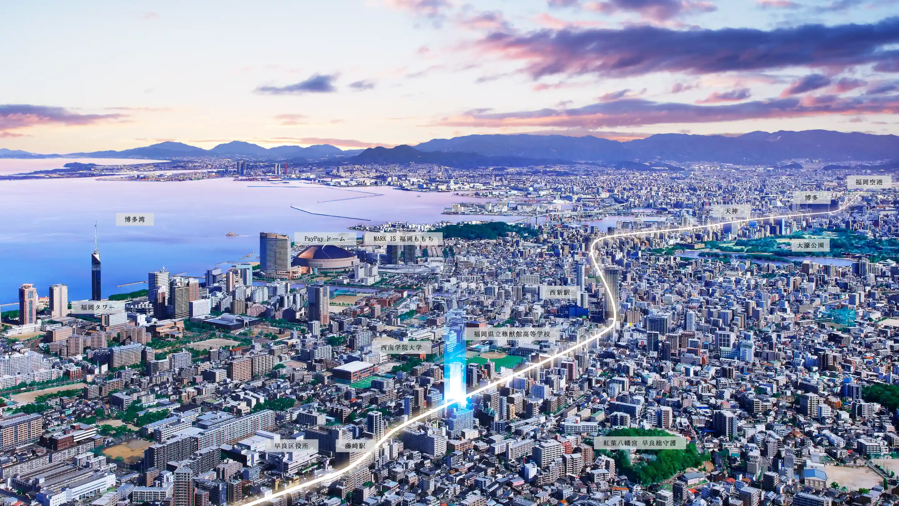 航空写真