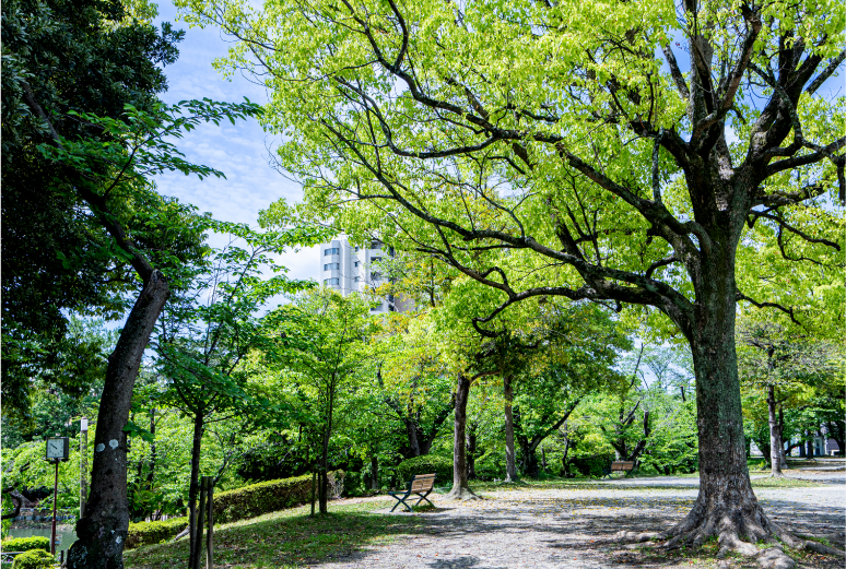 三崎水辺公園