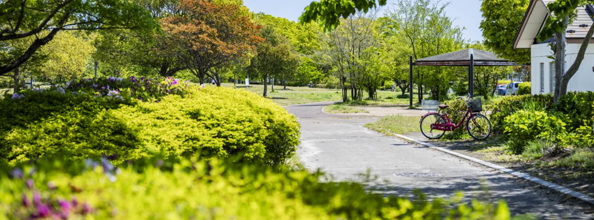 「中田中央公園」
