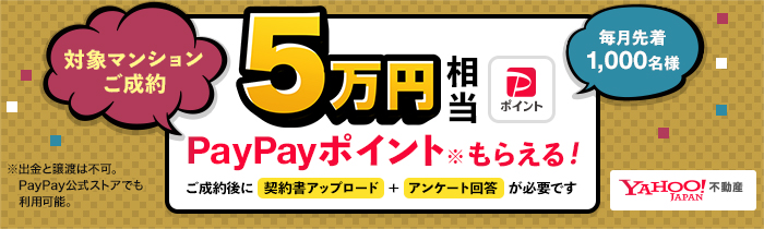 PayPay Banner