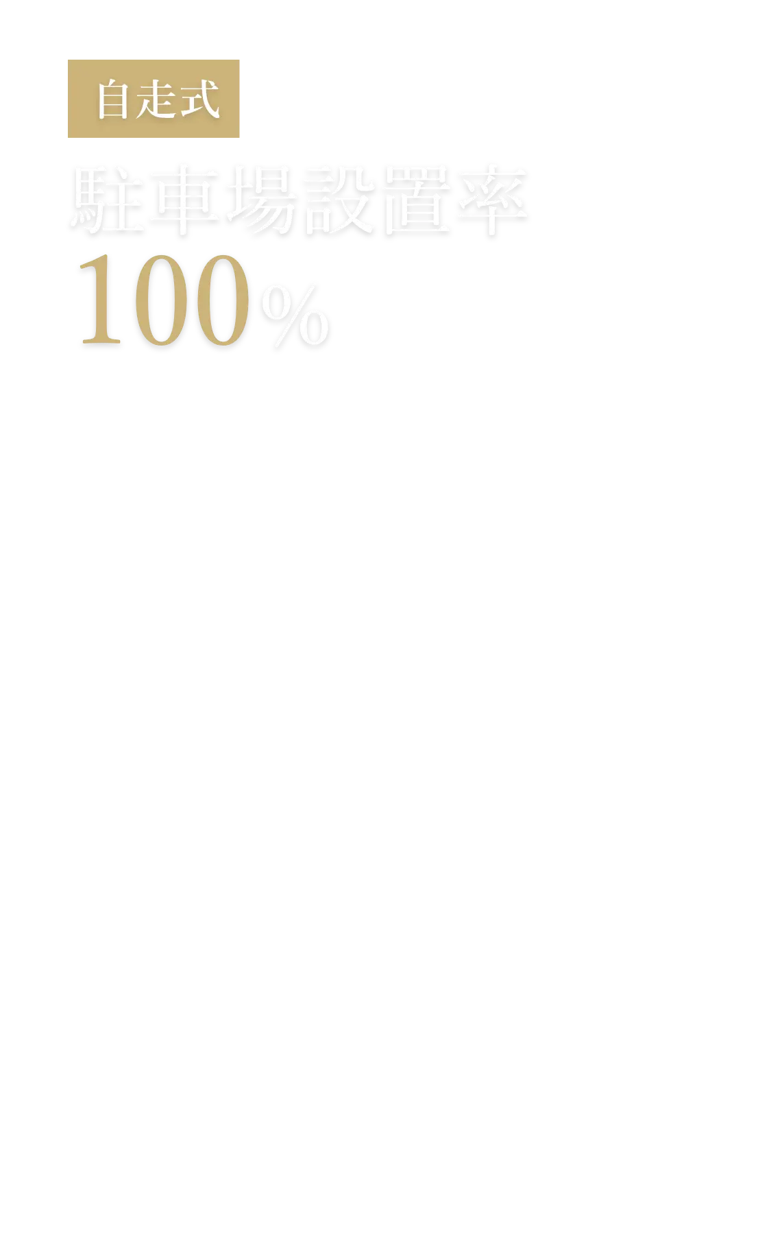 自走式 駐車場設置率100%