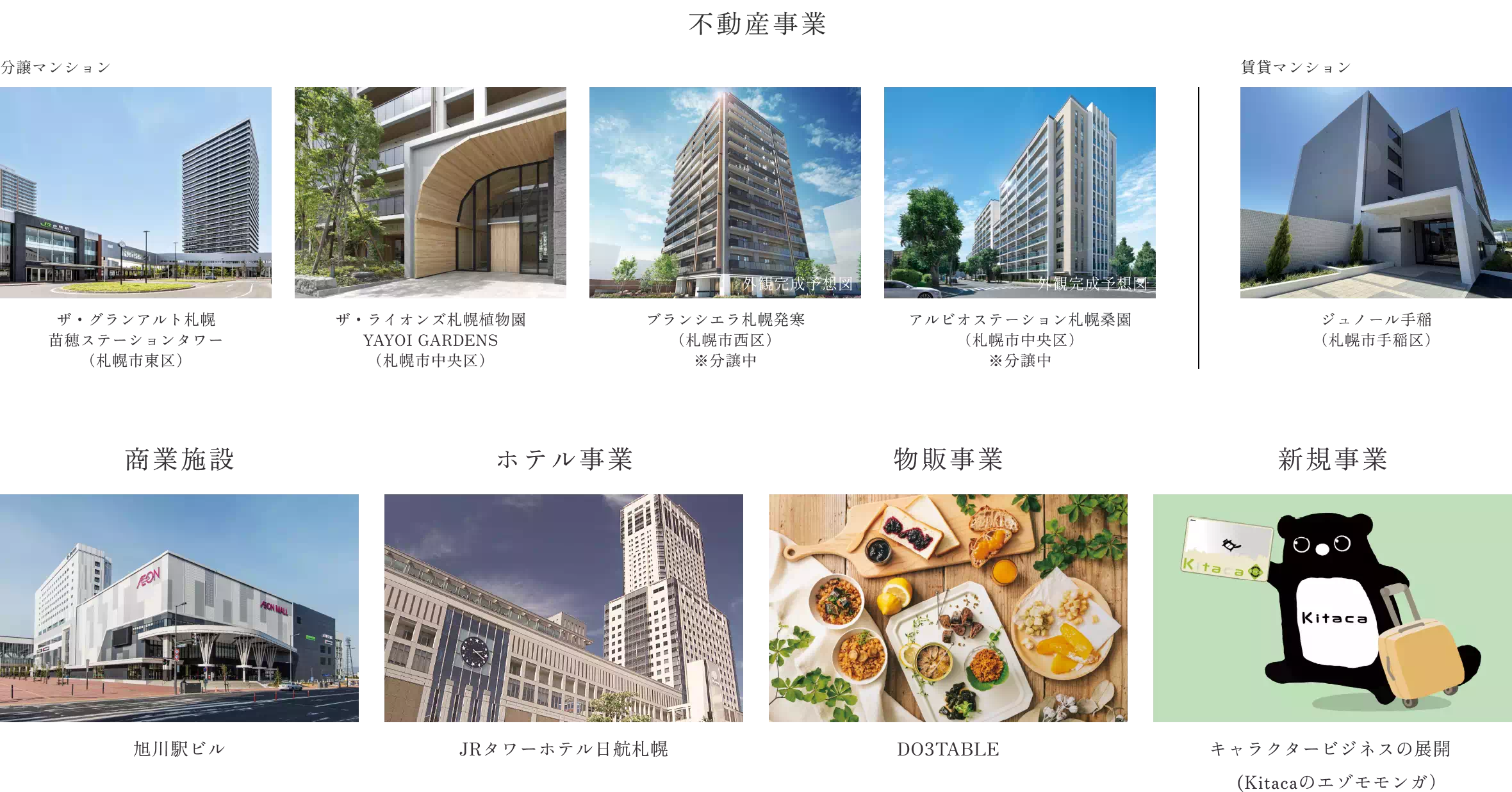不動産事業、商業施設、ホテル事業、物販事業、新規事業