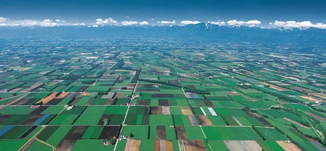 帯広郊外の印象的なパッチワークの田園風景