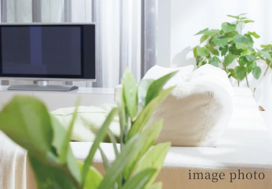 多彩なチャンネルが楽しめる<br>BS・110°CS放送に対応。