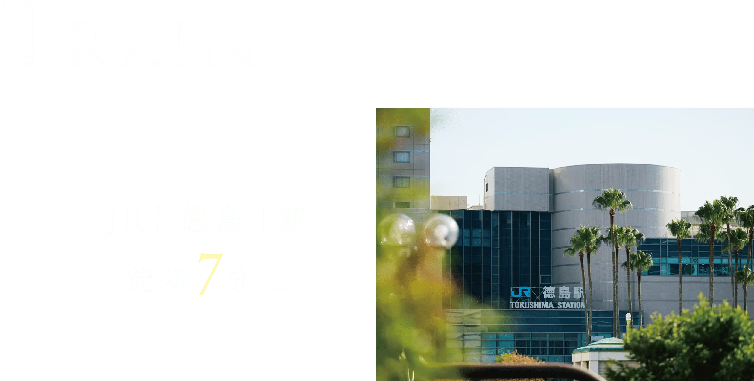 TRAIN
