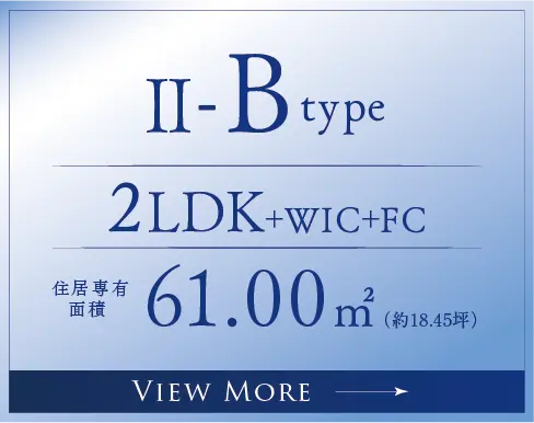 IIBtype